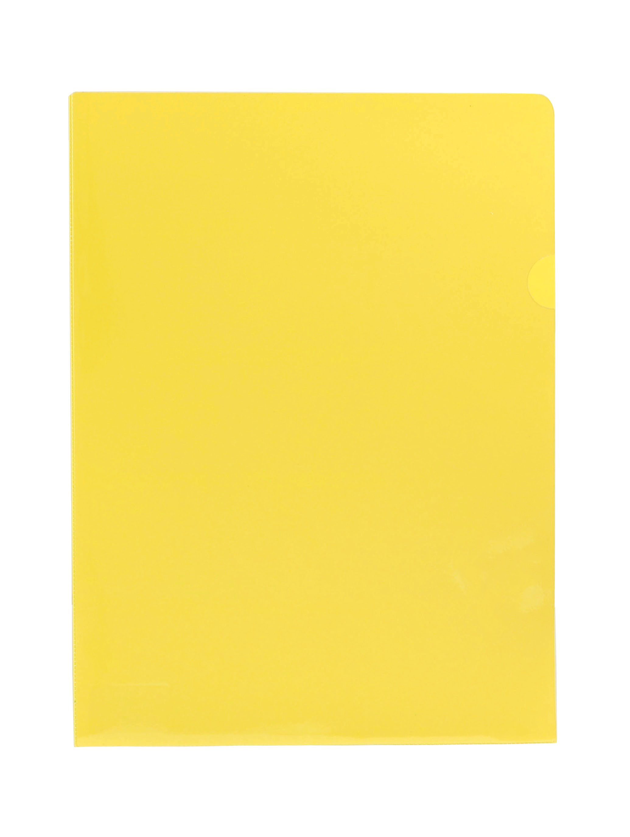 File-Colour File Folder GL-0220
